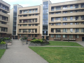 Гостиница Luxury Apartment  Друскининкай